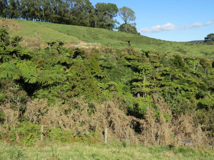 665 Minden Road Wairoa_9