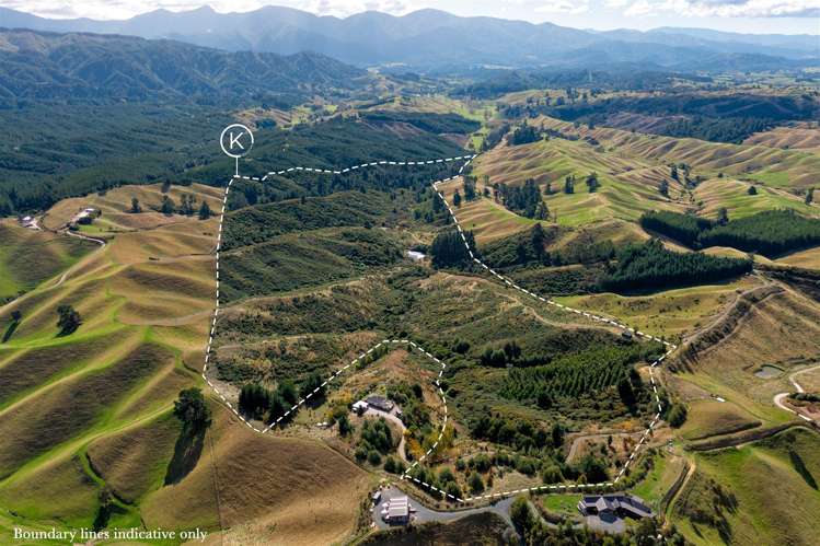 854A Neudorf Road Upper Moutere_6