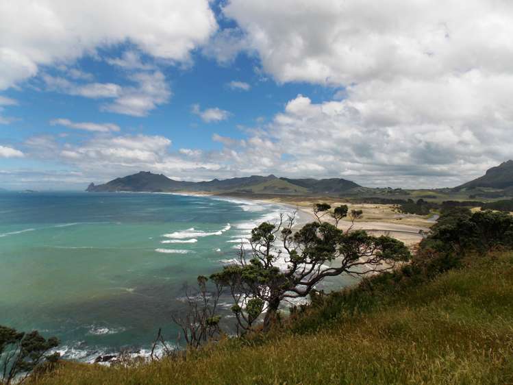 Kauri Mountain Road Whangarei_4