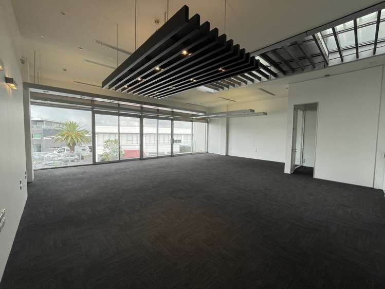 38 Ponsonby Road Grey Lynn_10