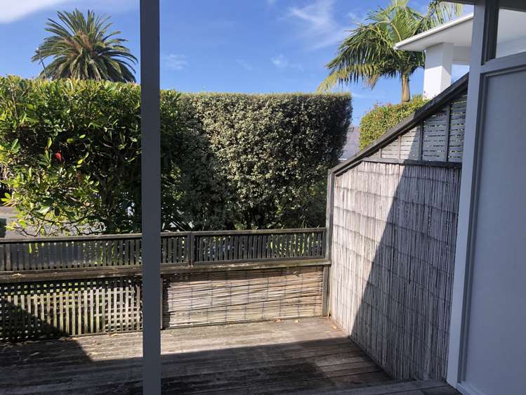 60 Hackett Street Saint Marys Bay_3