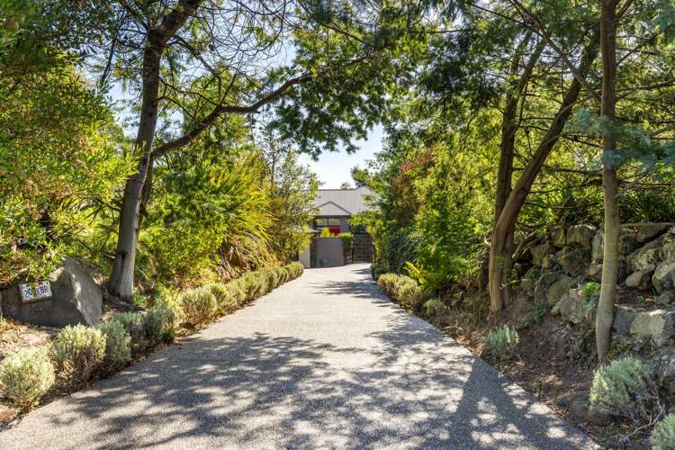 200 Kennedys Bush Road Kennedys Bush_29