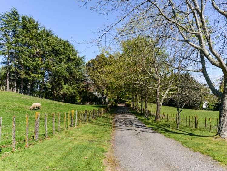 32 Endsleigh Road Havelock North_5