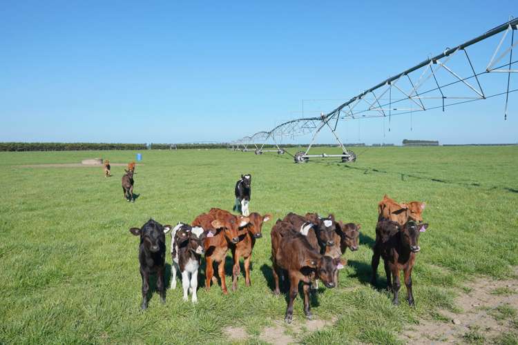 1108 Te Pirita Road Hororata_10