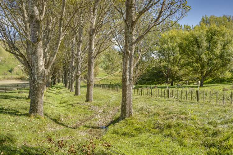 Paoanui Pourerere_14