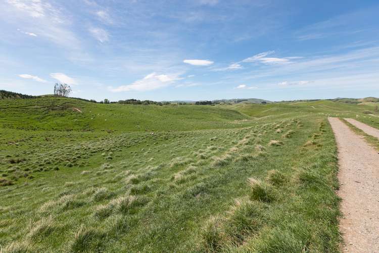 300 Pattison Road Waipukurau_15