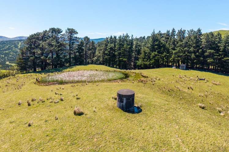 495 Towai Road Waione_21