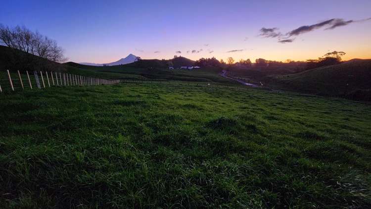 436 Lincoln Road Everett Park_11