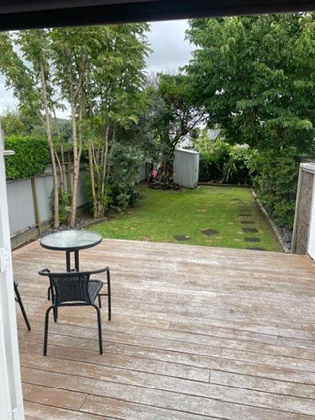  1/17 Wiremu Street Mount Eden_1