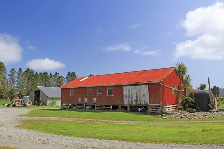 Waiho Flat Road Franz Josef Glacier_11
