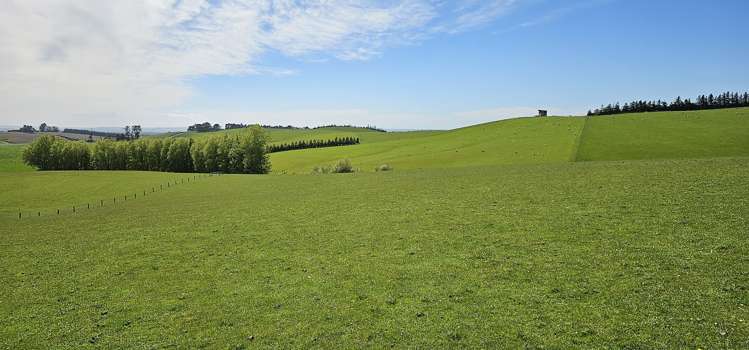 919 Miller Road Clinton and Surrounds_18