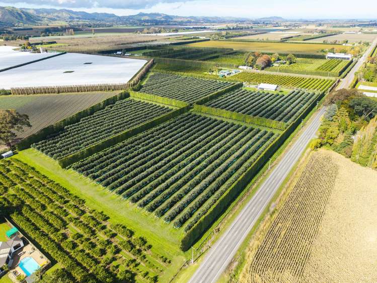 590 Matawai Road Waerengaahika_5