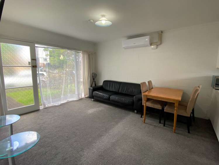 Lush Avenue St Johns_3