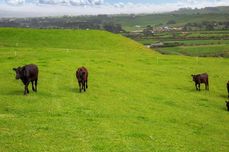 137 Lincoln Road Masterton_1