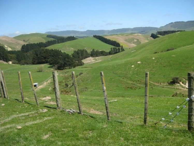 858 Oporae Road Waione_15