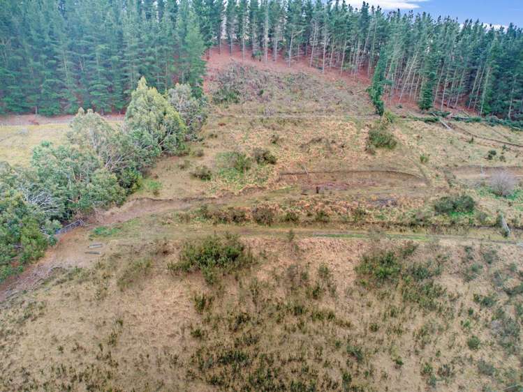 Diggers Gully Road Kurow_13