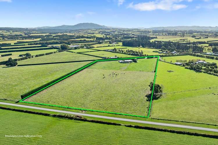 221 Smiths Road Leithfield_23