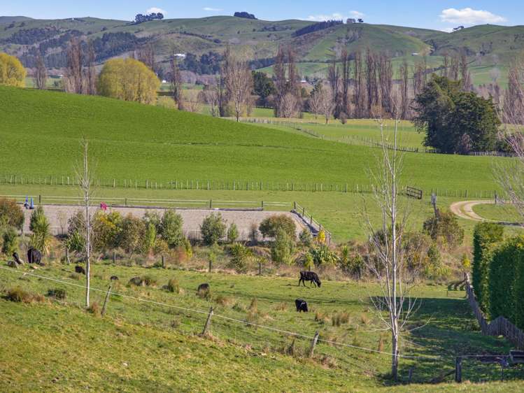 1437 Lots 1 and 3 Brooklands Road Carterton_17