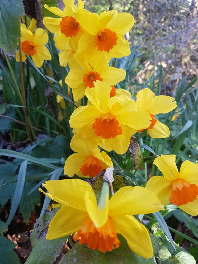 60 Grammar Street Kimbolton_14