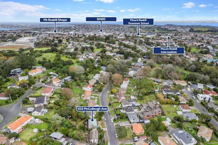 103 Mccullough Avenue Mount Roskill_18