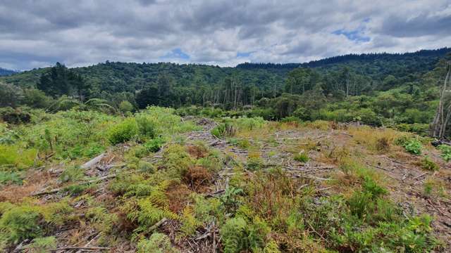 574 Honeymoon Valley Road Peria_2