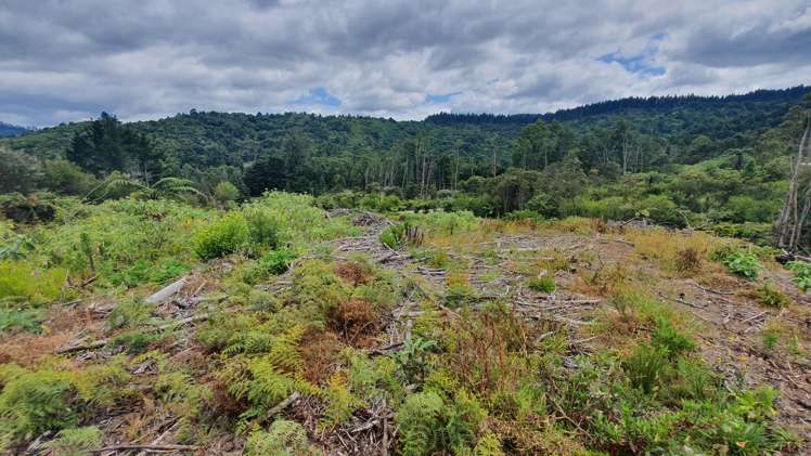 574 Honeymoon Valley Road Peria_2