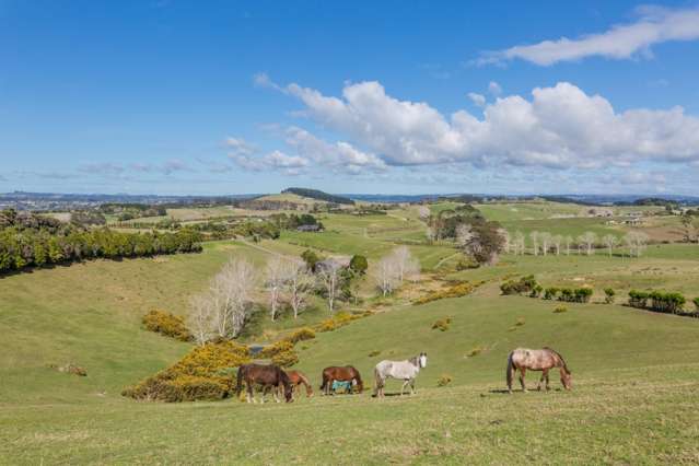 85 Kotuku Road Kerikeri_1