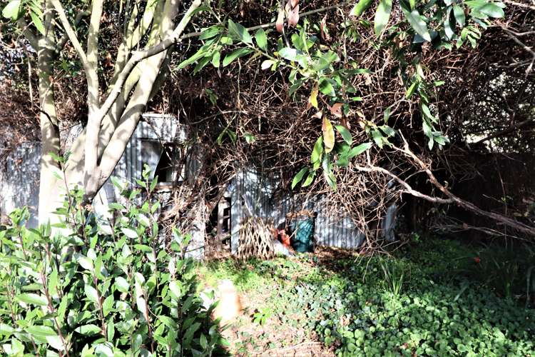 21 Orwell Street Oamaru_11