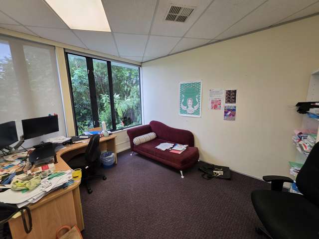 4 Western Springs Road Morningside_3