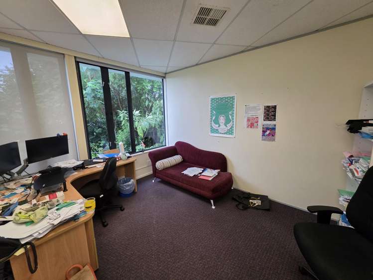 4 Western Springs Road Morningside_3