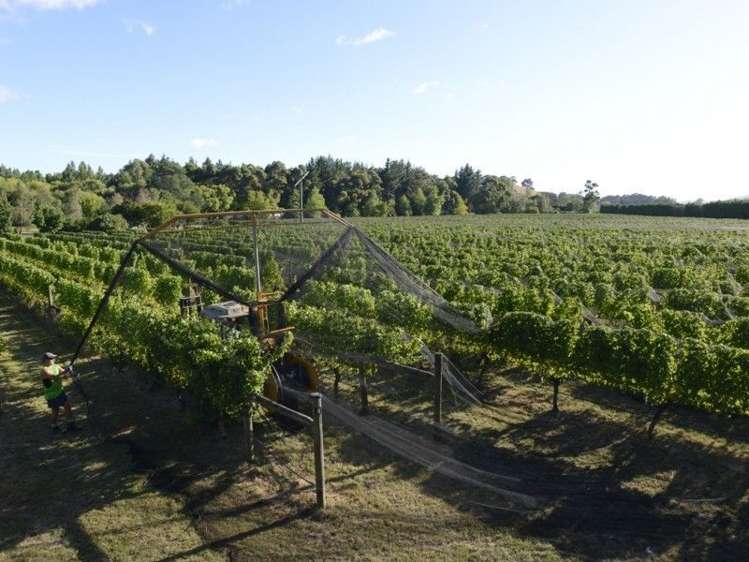 340 Gladstone Road Gladstone_16