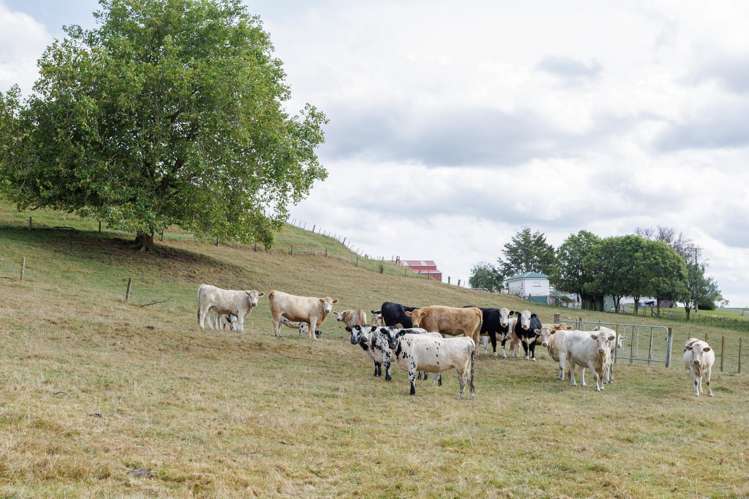 178B Pond Road Matamata_25