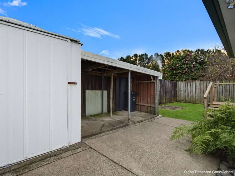 142a College Road Edgecumbe_15
