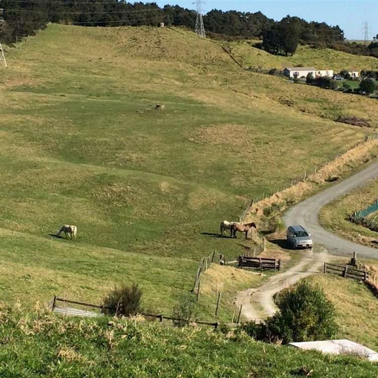 62 Kiwi Lane Kaiwaka_13