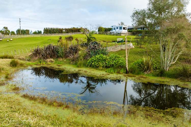 147 Petley Road Paparoa_44