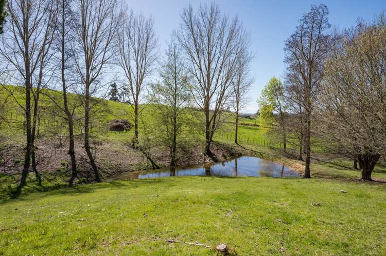 60 Martin Road Upper Moutere_30