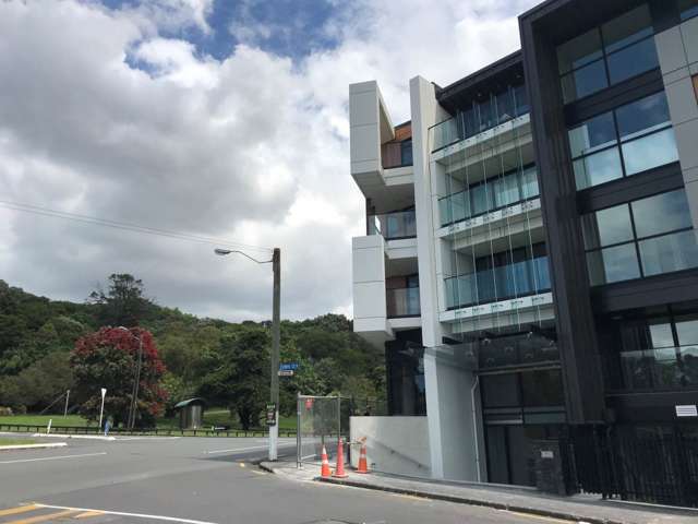 224/43 Edwin Street Mount Eden_2