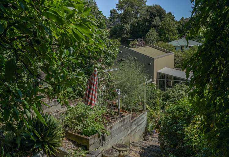 41 Panorama Drive Enner Glynn_25