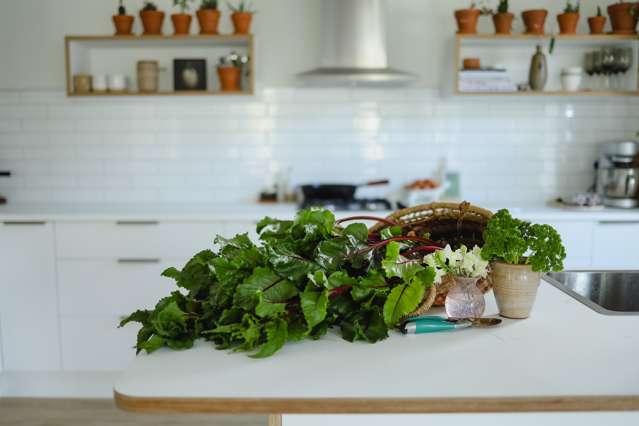 17 Tuke Lane Wanaka_4