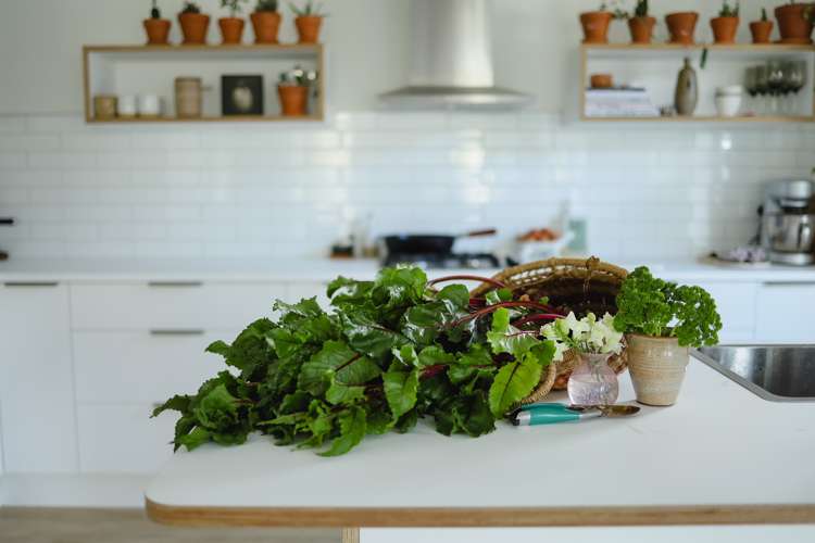 17 Tuke Lane Wanaka_4