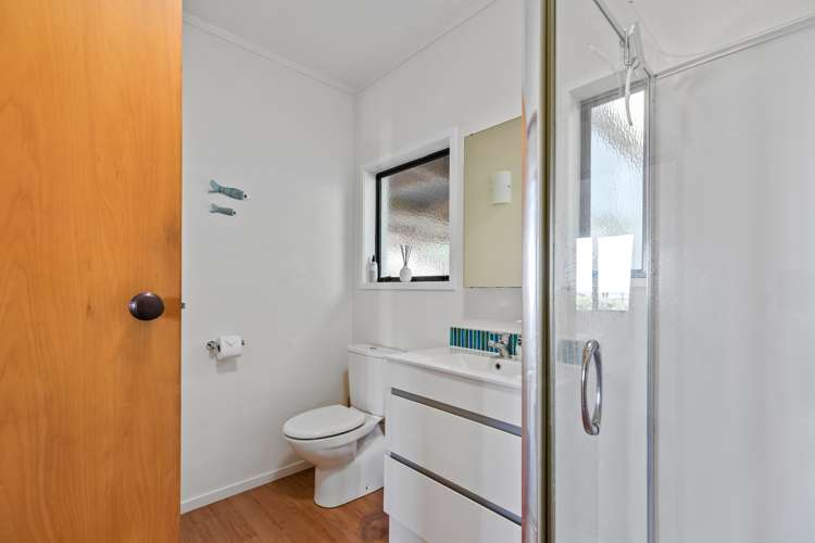 342 Youngson Road Whakamarama_10