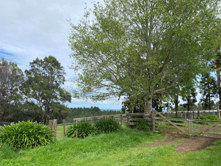 352 Kauri Road Onewhero_30