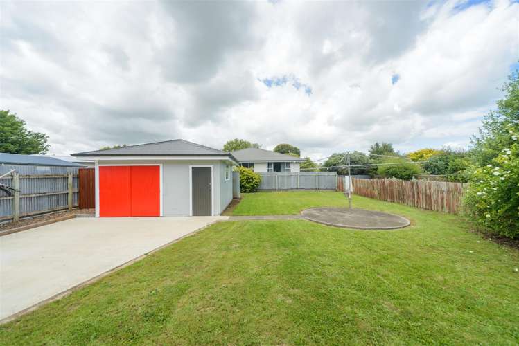 9 Bull Street Bulls_25