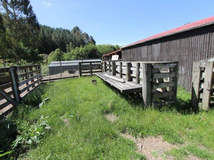 146 Whangamata Road Kinloch_15