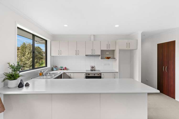 51 Wright Road Dairy Flat_21