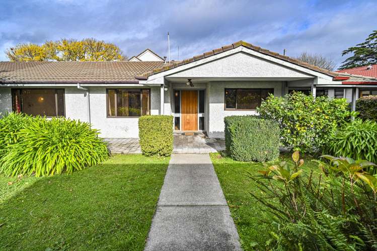 507a Fitzroy Avenue Hastings_1