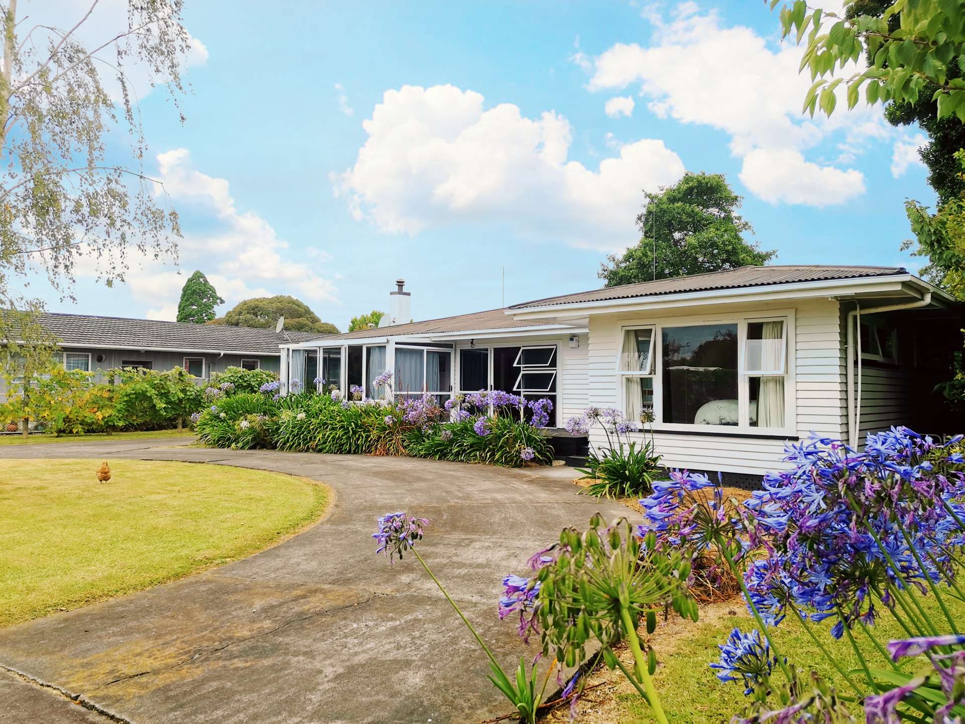 3 Rutherford Street Wairoa_0