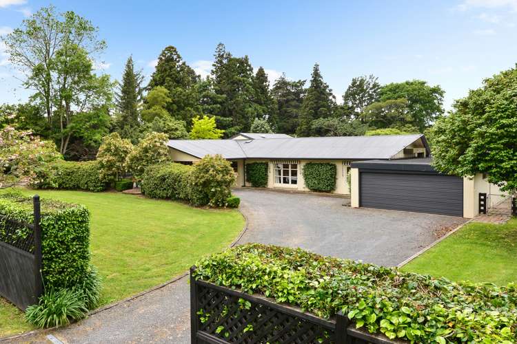 99 Newell Road Tamahere_1