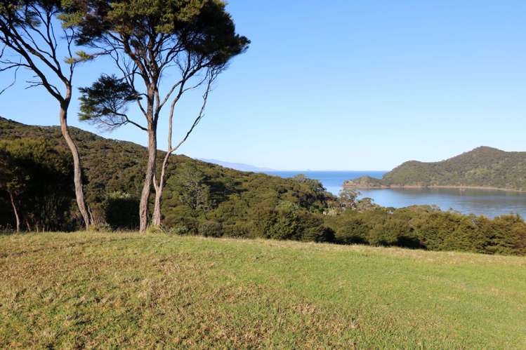 6 Harpoon Hill Great Barrier Island (Aotea Island)_12