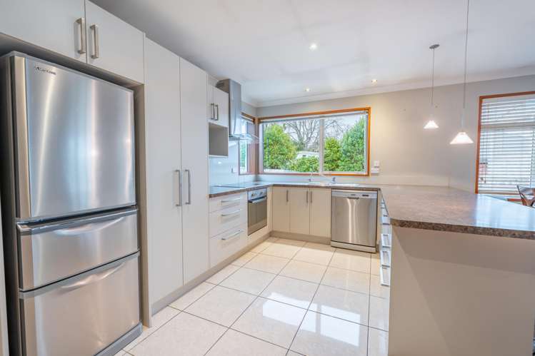 115a Domain Avenue Kensington_2